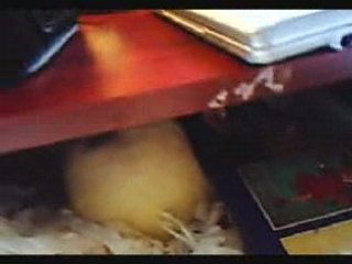 Oliver-Robert Rat treasures his biscuit