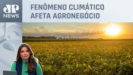 Kellen Severo: Preços agrícolas podem subir com El Niño forte