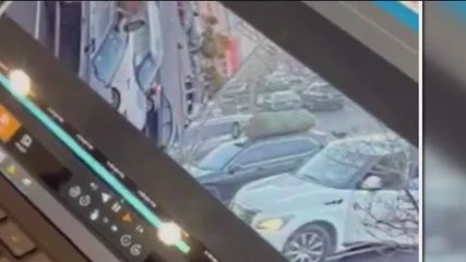 Christmas tree snatched from the roof of a car