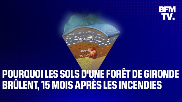 Pourquoi le sol d'une forêt de Gironde brûle encore, un an et demi après les incendies