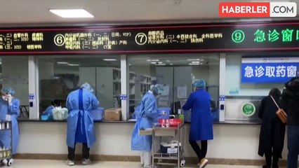 Gizemli Virüs Avrupa'yı Etkisi Altına Aldı: Çin ve Hindistan'dan Sonra Danimarka ve Hollanda'da Tespit Edildi