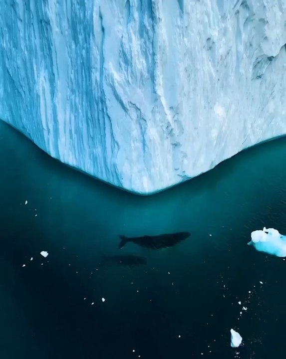 Les plus belles images du Groenland