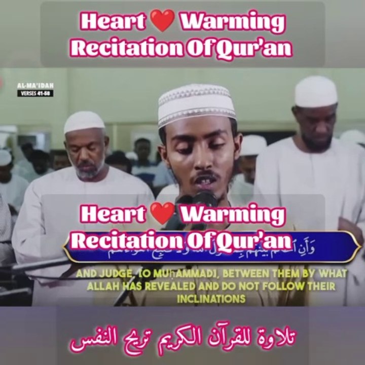 Heart ❤️ Warming Quran Recitation of Surah Al-Ma'ldah..! Récitation réconfortante du Coran de la sourate Al-Ma'ldah..! #islamic_media #islamic_video #surah #surat #tilawat #tilawah #recitation_du_coran_et_doua #surahalbaqarah #surahalmulk #surahrahman #re