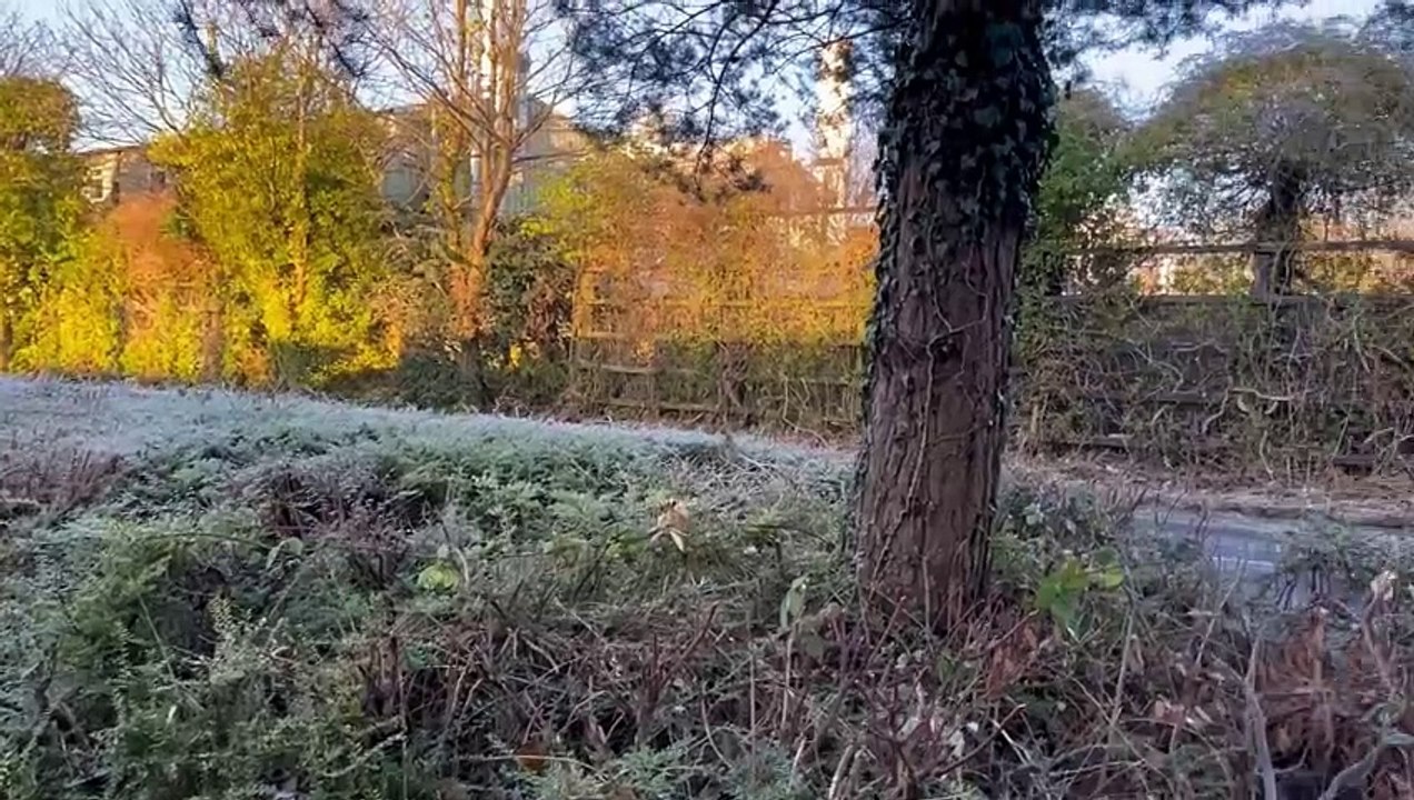 Inside Preston's newest McDonalds