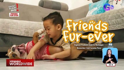 2 years old na bata, friends fur-ever sa isang American bully! | Dapat Alam Mo!