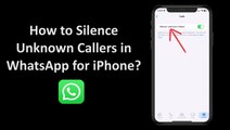 How to Silence Unknown Callers in WhatsApp for iPhone?
