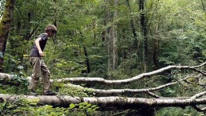 Le nez dans le ruisseau - 4 décembre