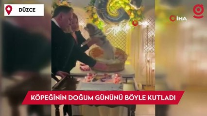 Köpeğinin doğum gününü böyle kutladı
