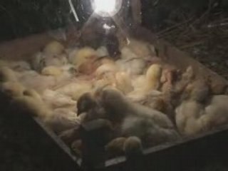 THEMOVIEOFTHEYEAR 30 mars 2008