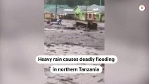 Floods kill more than 20 in northern Tanzania