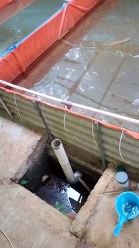 Mainkan Drainase kolam saat musim hujan agar ikan lele aman dikolam