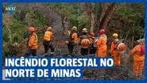 Bombeiros combatem incêndio florestal no norte de Minas