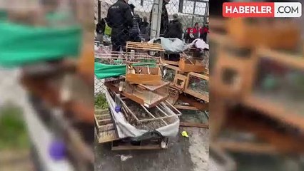 Yasa Dışı Kuş Ticaretine Büyük Darbe