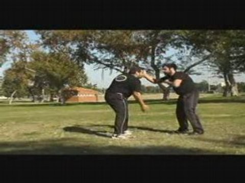 KRAV MAGA INSTRUCTOR krav-security.com