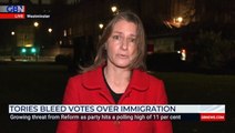 Tory minister issues warning to voters thinking of defecting to other parties over immigration