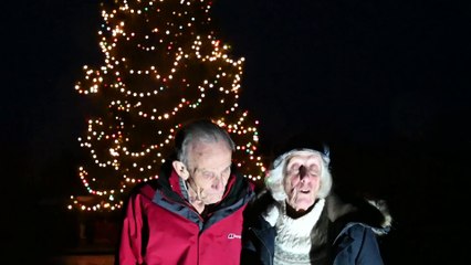 We planted our Christmas tree in 1978 - it's now 50ft tall and people flock to see our festive lights