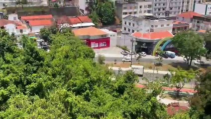 VÍDEO: Árvore cai e atinge carro em bairro nobre de Salvador