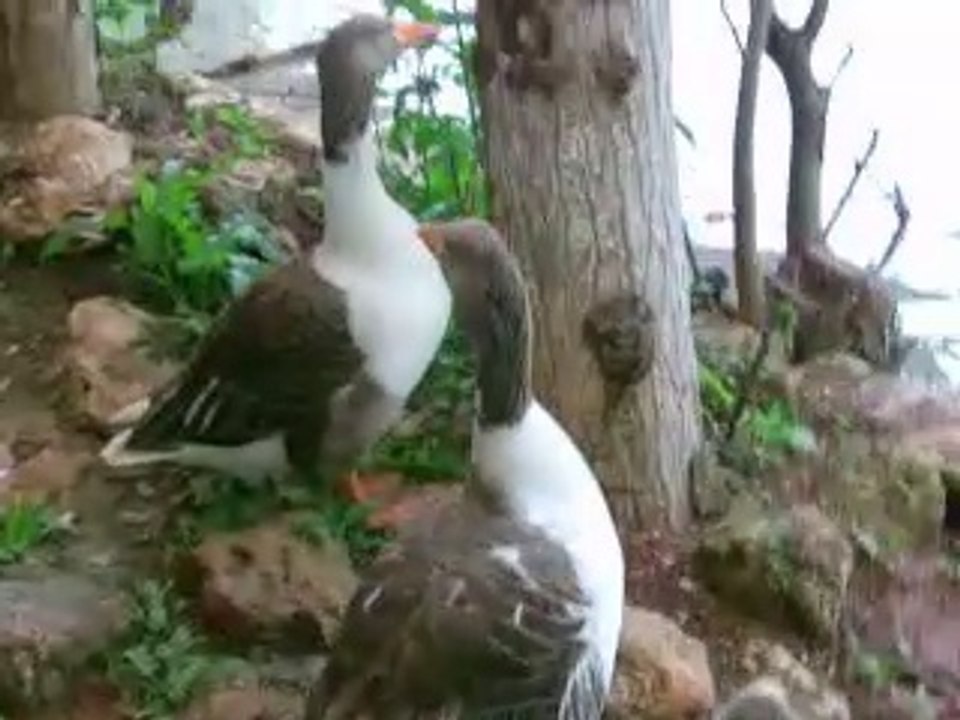 رحلة مدرسة الفنون