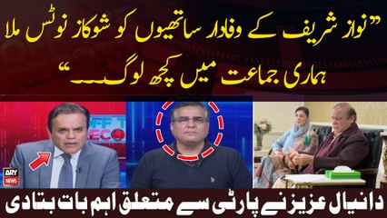 "Humari Party Mein Kuch Log Aesay Hen...", Daniyal Aziz's Big Statement