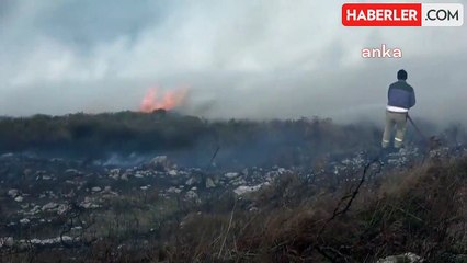Sinop'ta Ot Yangınında Üç Hektar Alan Zarar Gördü