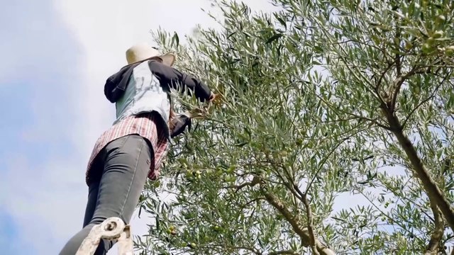 Dall'Ue 186 mln per promuovere i prodotti agroalimentari