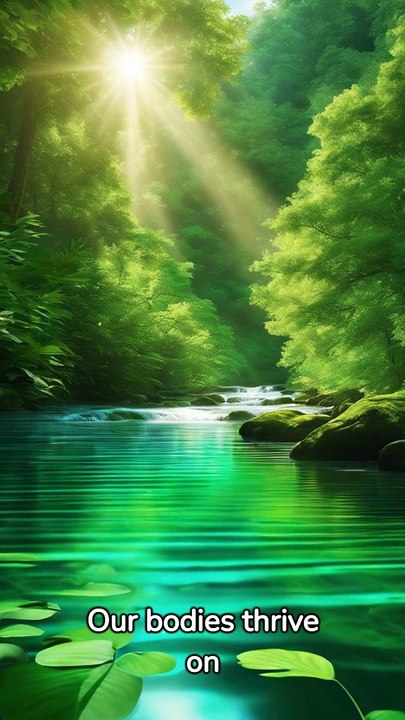 Water: The Key to Optimum Health But how much should we drink?