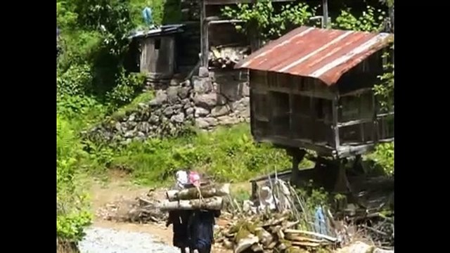 yaşar bana hemşin getir 11