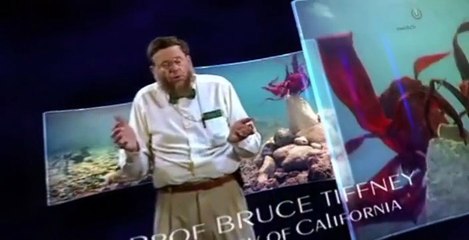 The Future Is Wild The Future Is Wild 2003 E007 – Flooded World