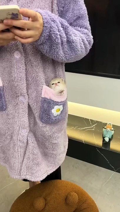❤ cat
