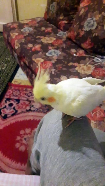 ٢٠١٩٠٩١٦_٢٠٥٠٠١