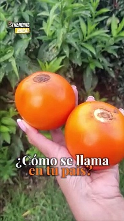 Queremos saber si existe en tu país