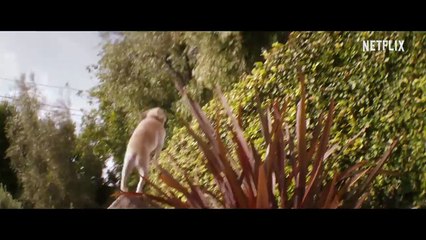 Familia revuelta - Jennifer Garner y Ed Helms - Tráiler oficial - Netflix