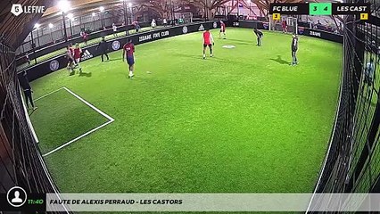 Faute de Alexis PERRAUD - LES CASTORS