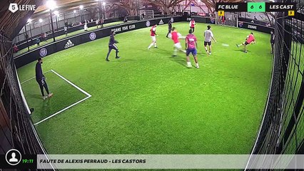 Faute de Alexis PERRAUD - LES CASTORS