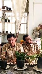 Masör kedi ve kulunçlarını kırdıran kedi