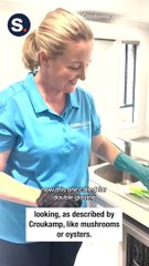 Cleaner Goes Viral With Video of Revolting Things 'Growing' in Dishwasher