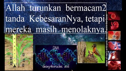 Tilawah Al Quran, Surah Al An'am 06 :  1 - 12, (terjemahan MELAYU) Nejad Toosi,  di KL, 1998