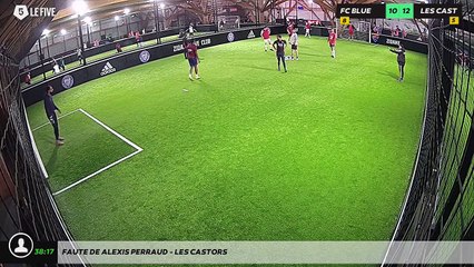 Faute de Alexis PERRAUD - LES CASTORS