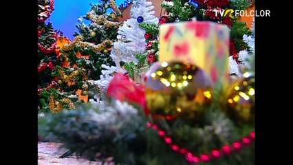 Sofia Vicoveanca - Scoala, gazda, nu dormi (arhiva TVR)