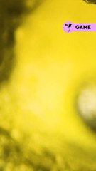 Devine ce qu’on te montre au microscope   Indice : ça se mange et c’est jaune  on attend ta réponse dans les commentaires !