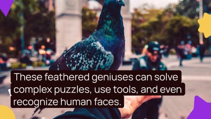 Incredible Animal Secrets Finally Revealed