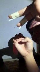 Dancing Shadow Hand Puppet