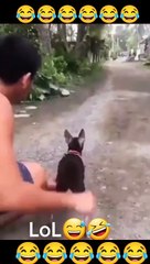 Laughter Videos 2024 - EPIC FINAL IF YOU LAUGH YOU LOSE GOD LEVEL 999.99% IMPOSSIBLE NOT TO LAUGH