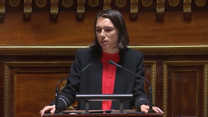 Budget 2024 : le Sénat examine les crédits de la mission écologie