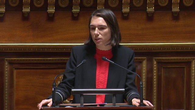 Budget 2024 : le Sénat examine les crédits de la mission écologie
