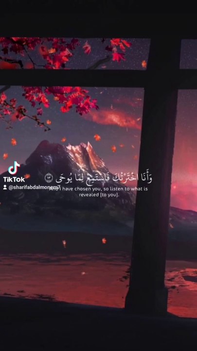 القران الكريم