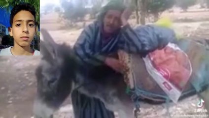 سي حماد يشتري حمارًا بـ4 دراهم 🐴