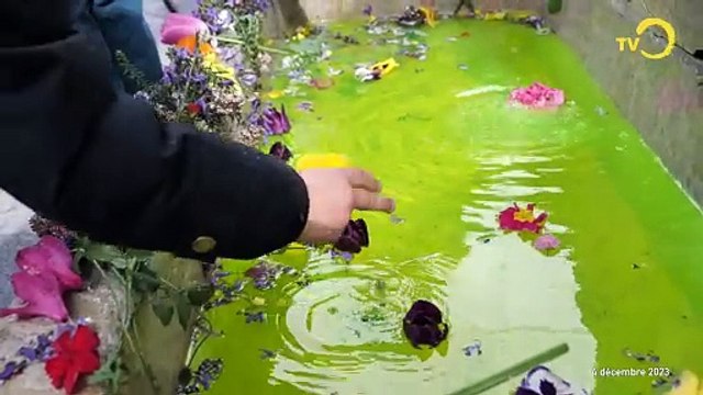 Sujet: Les fenêtres de l'avent