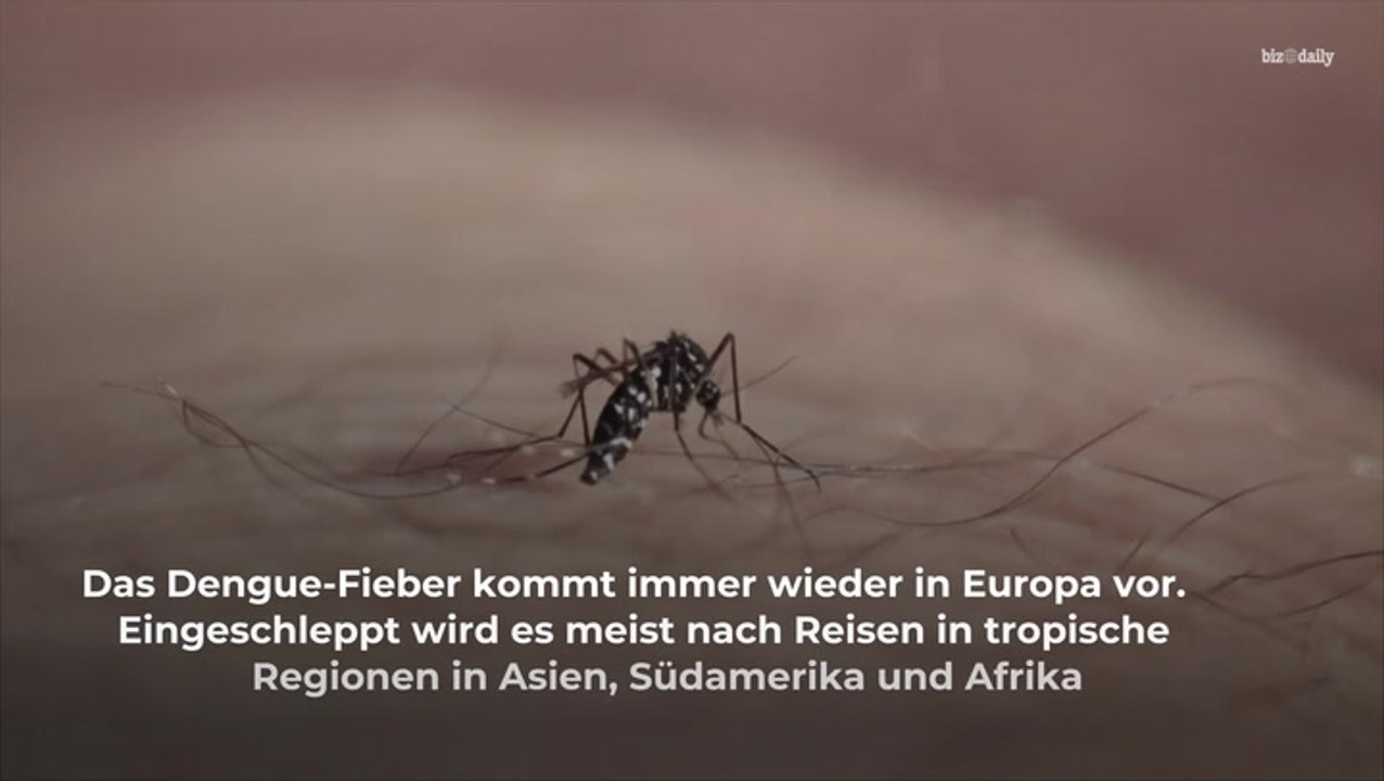 Impfung gegen dieses Fieber von Stiko empfohlen