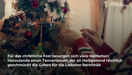 So teuer sind Weihnachtsbäume dieses Jahr